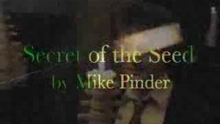 Secret of the Seed(moody blues)