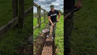 Download lagu You Won’t Believe This Strawberry Growing Hack! 🍓 mp3