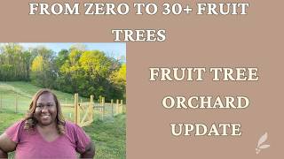 Fruit Tree Orchard Update-From 0 to 30+ Fruit Trees