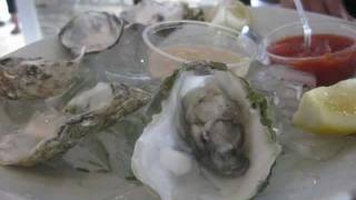 Surf City - here we come! (Jack Johnson - What You Thought You Need)