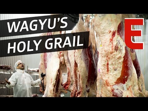 This Wagyu Beef Factory Is The Holy Grail For Meat...