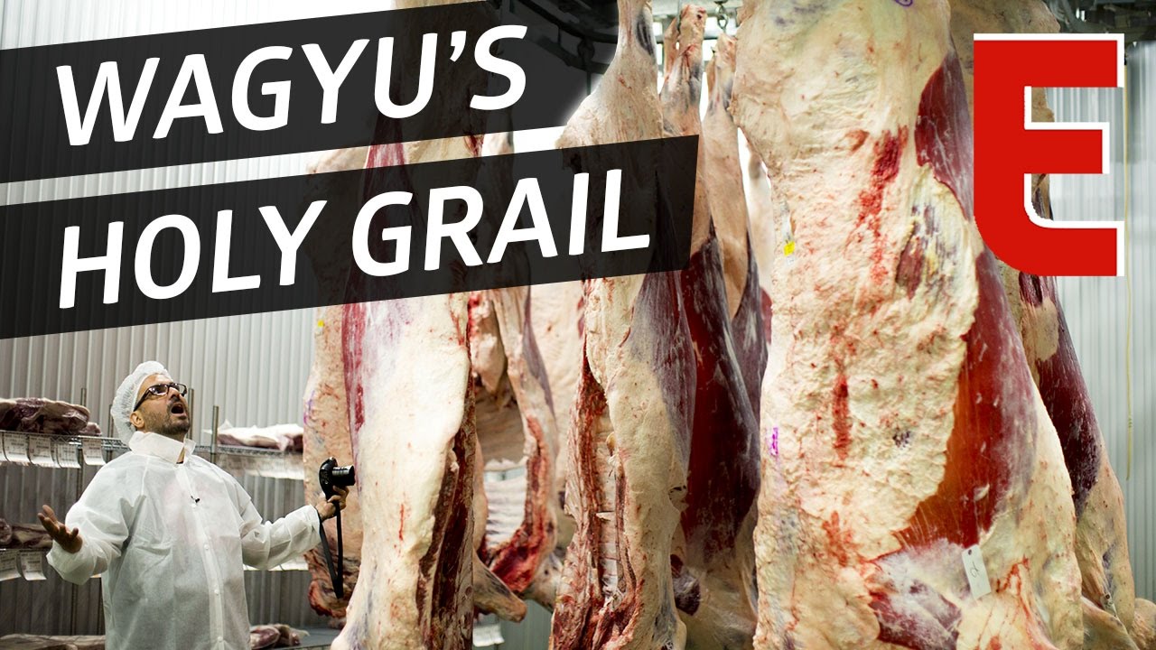 This Wagyu Beef Factory Is The Holy Grail For Meat Eaters The Meat Show