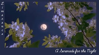 A Serenade for the Night✨  Peaceful Classical Music for a Quiet Night 🌙