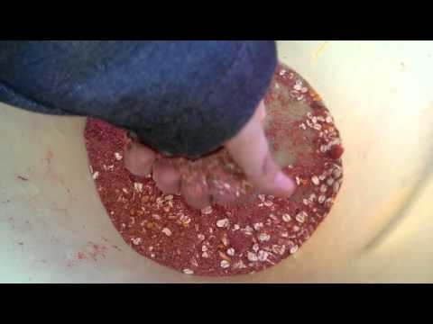 So mache ich mein karpfenfutter