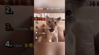 Best Zesty Animal Moments
