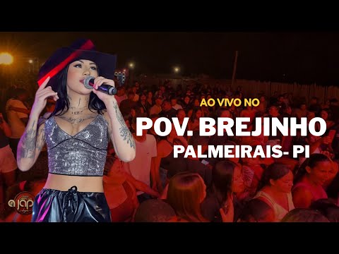 A Japa Ao Vivo | POV. BREJINHO - PALMEIRAIS- PI  16/05/26