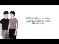 EXO K-What is love (Han/Rom/Eng lyrics) 