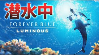 【フォーエバーブルー】ダイビングしてみた【ルミナス】#1 FOREVER BLUE LUMINOUS