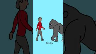 African Animal Size Comparison  #Hyena #Zebra #Gorilla #Rhino