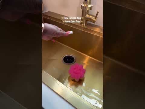 Nose blindness👃🏾🚫is real besties!!! Lets keep our kitchens clean & odor free!! 🧽🫧✨