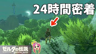 【ゼルダの伝説】気持ちのいいお散歩日和。リンクの何気ない生活、24時間密着！！！