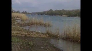 Рыбалка в новочеркасске холодный канал