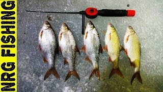 Ловля плотвы зимой на водохранилищах