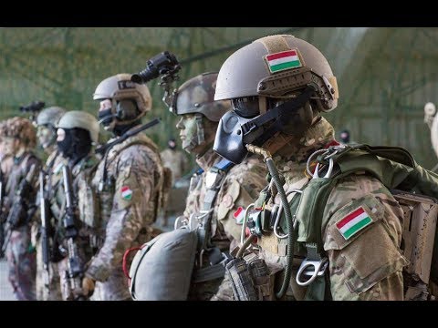 Hungarian Defense Forces - Small , But Powerful