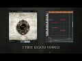 Video 4: Instrument Playthrough Bard