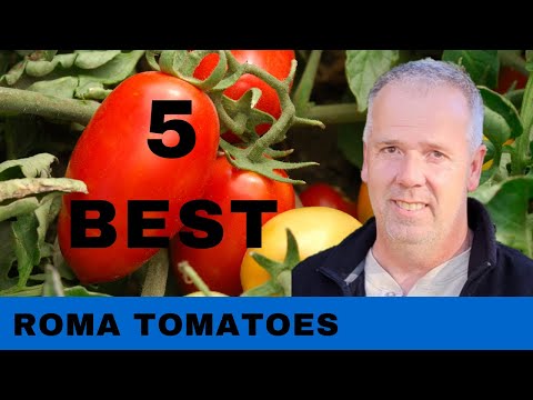 What are the Best Roma Tomatoes to grow in a Garden 2022