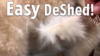 Easiest way to DESHED Any DOG at Home