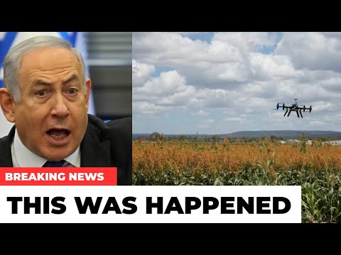 Israeli Agriculture: From Desert Bloom to Global Tech Hub