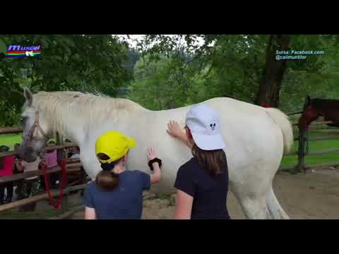 Jurnal MUSCEL TV 29.06.2021 Elevi din București în vizită la Câmpulung și la Caii Munților  Lerești