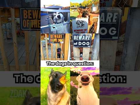 "Beware of the dog" 🗿