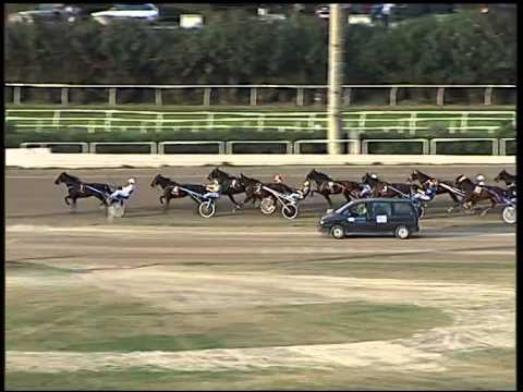 Trotto 30/10/2014 - 2° corsa