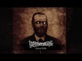 Witherscape - Astrid Falls (ALBUM TRACK) 