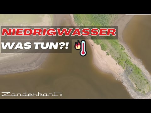 This is how you catch even at low tide!