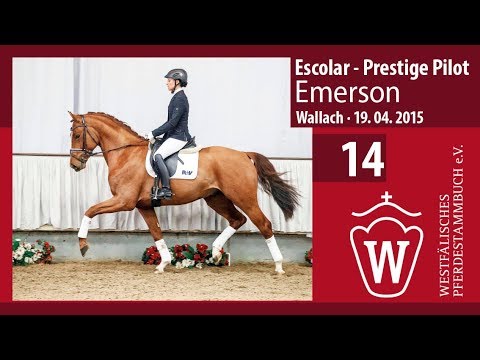 14 Emerson  Wallach v. Escolar - Prestige Pilot