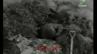 Homenaje Malvinas Bombas a Londres