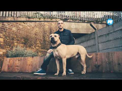 DJ Hype - Drum and Bass show - Rinse FM - 11/07/2025