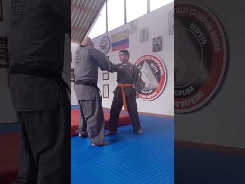 Escuela de artes marciales sin moo hapkido escorpión negro Gachancipa Cundinamarca Colombia 2024