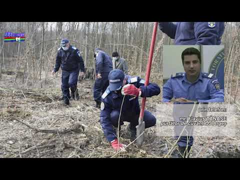 Jurnal MUSCEL TV 02 04 2021 „171 de stejari pentru România” - acțiune a jandarmilor argeșeni
