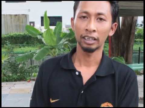 Testimonial 1