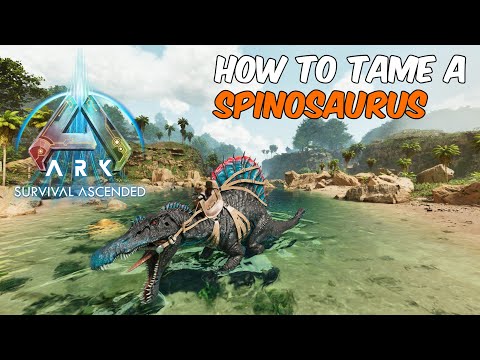 The Safest Way to Tame a Spinosaurus in ARK Survival Ascended #arksurvivalascended #ark #spinosaurus