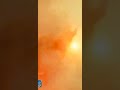 Shivan Thandavam X Aayirathil Oruvan Bgm