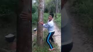 Download lagu Jirayut 7 tahun yang lalu emamg udh aktif dari dulu sih 🤣🤣 mp3 Download lagu Jirayut 7 tahun yang lalu emamg udh aktif dari dulu sih 🤣🤣 mp3