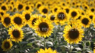 Eddie Vedder - Rise