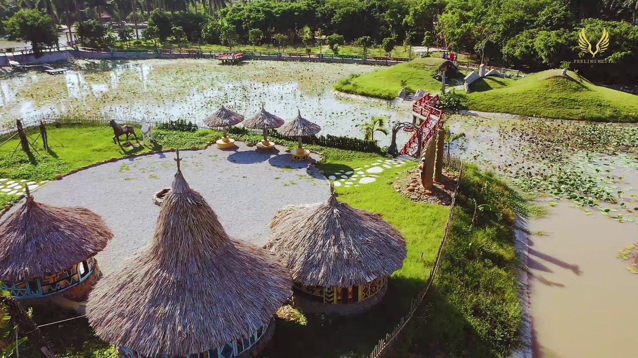 Discover the captivating highlights of Truong Thanh Farm.