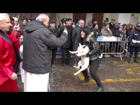 ONDA TG 19.01.2014 - BENEDIZIONI ANIMALI