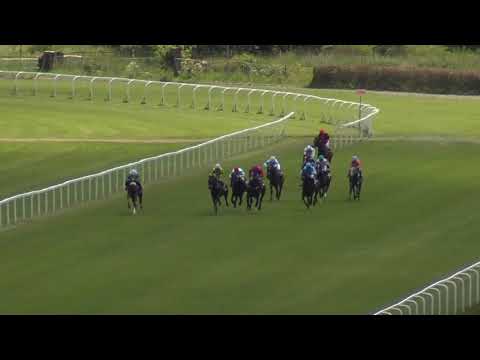 1. dostih - CENA SPOLEČNOSTI EMONT BOHEMIA - dostihy Velká Chuchle 1. 6. 2019