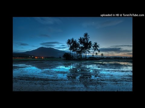 Sertero - Toda la Madrugada