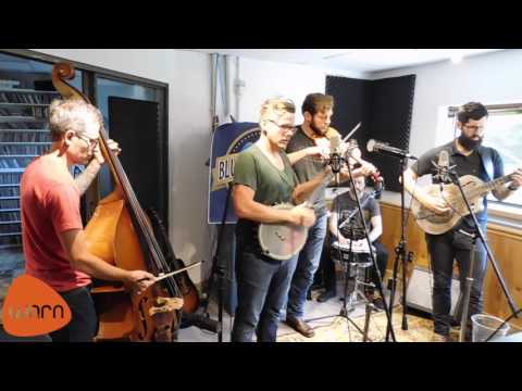 The Steel Wheels - Wild As We Came Here