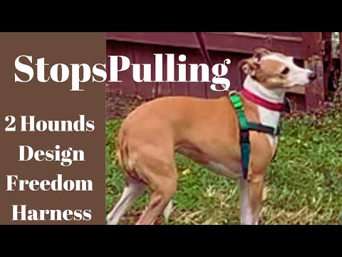 2 Hounds Design Freedom Harness; Stops Pulling, Comfortable