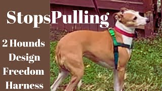 2 Hounds Design Freedom Harness; Stops Pulling, Comfortable