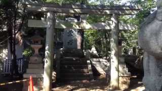 preview picture of video '玉川神社---東京都世田谷区'