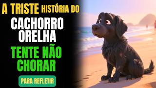 A VERDADEIRA HISTÓRIA DO CACHORRO ORELHA - REFLEXÃO- SABEDORIA - TENTE NÃO CHORAR
