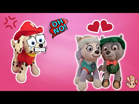 El ADMIRADOR SECRETO de Everest 💘 Marshall se ENFADA / Paw Patrol en español