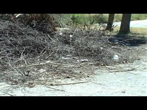 ONDA TG 12.07.2014 - VIA XXV APRILE  IL DEGRADO CONTINUA