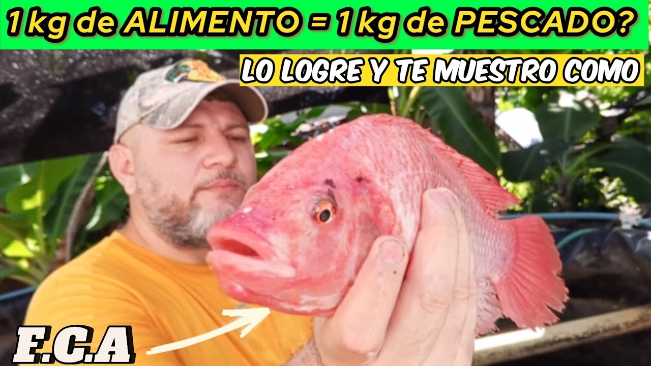 FCA 1.1 en Acuicultura