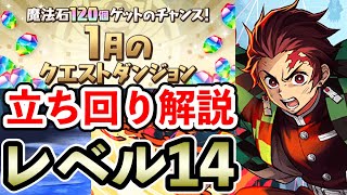 レベル14【1月のクエストダンジョン】炭治郎PTで攻略!! 立ち回り解説【Lv14】【パズドラ】